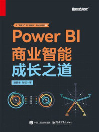 《Power BI商业智能成长之道》-段鹏举