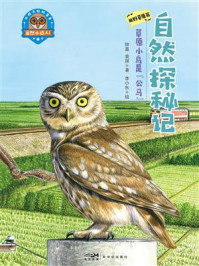 《自然探秘记：草原小鸟是&ldquo;公马&rdquo;》-钟嘉