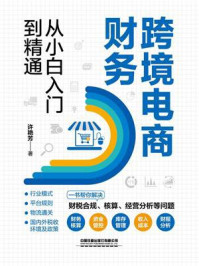 《跨境电商财务从小白入门到精通》-许艳芳