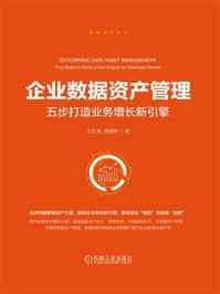 《企业数据资产管理：五步打造业务增长新引擎》-王红亮