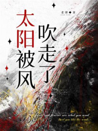 《太阳被风吹走了》-老谭 《太阳被风吹走了》-老谭