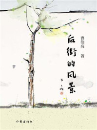 《后街的风景》-曹伯高 《后街的风景》-曹伯高