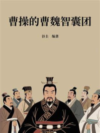 《曹操的曹魏智囊团》-谷圭