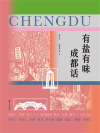 《有盐有味成都话》-蜂窝煤