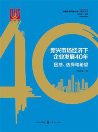 《新兴市场经济下企业发展40年:困惑、选择和希望》-刘小玄 《新兴市场经济下企业发展40年:困惑、选择和希望》-刘小玄
