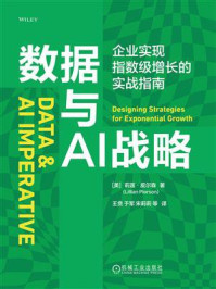 《数据与AI战略：企业实现指数级增长的实战指南》-莉莲&middot;皮尔森