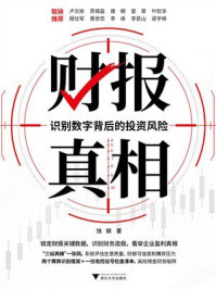 《财报真相：识别数字背后的投资风险》-饶钢