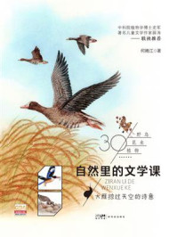 《自然里的文学课：大雁掠过天空的诗意》-何腾江