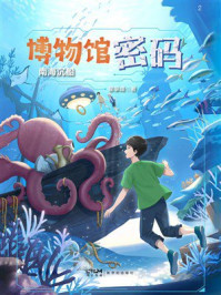 《博物馆密码：南海沉船》-翟攀峰