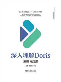 《深入理解Doris：原理与应用》-王磊