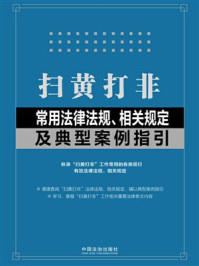 《扫黄打非常用法律法规、相关规定及典型案例指引》-中国法治出版社