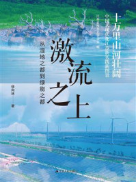 《激流之上：从湿地之都到绿能之都》-徐向林