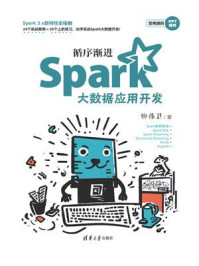 《循序渐进Spark大数据应用开发》-柳伟卫