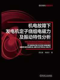 《机电故障下发电机定子绕组电磁力及振动特性分析》-蒋宏春