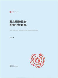 《苏北碳酸盐岩图像分析研究》-匡鸿海