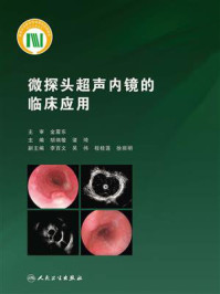 《微探头超声内镜的临床应用》-胡端敏