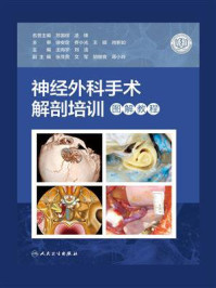《神经外科手术解剖培训图解教程》-王向宇
