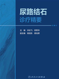 《尿路结石诊疗精要》-许云飞