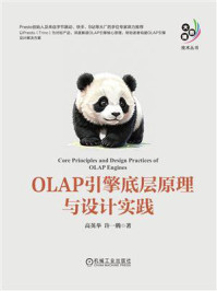 《OLAP引擎底层原理与设计实践》-高英举