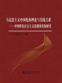 《马克思主义中国化的理论与实践关系：中国特色社会主义道路的发展研究》-王毅