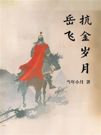 《岳飞：抗金岁月》-当年小月