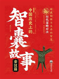 《中国历史上的智囊故事：秦汉篇》-龙人