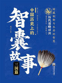 《中国历史上的智囊故事：三国篇》-龙人