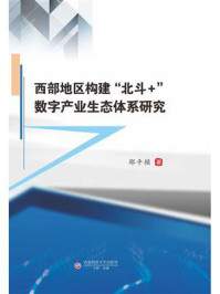 《西部地区构建“北斗＋”数字产业生态体系研究》-邵平桢