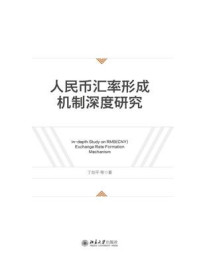 《人民币汇率形成机制深度研究》-丁剑平