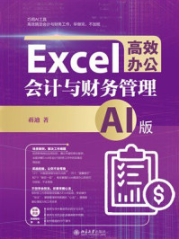 《Excel高效办公：会计与财务管理（AI版）》-蒋迪