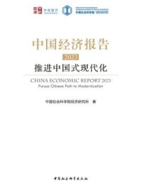 《中国经济报告（2023）：推进中国式现代化》-中国社会科学院经济研究所