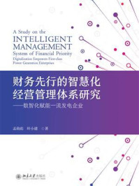 《财务先行的智慧化经营管理体系研究：数智化赋能一流发电企业》-孟勋彪