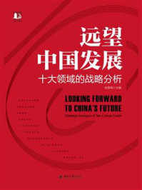 《远望中国发展：十大领域的战略分析》-张国有
