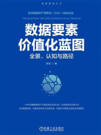 《数据要素价值化蓝图：全景、认知与路径》-史凯