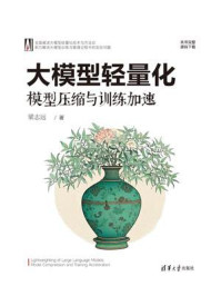 《大模型轻量化：模型压缩与训练加速》-梁志远