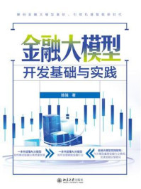 《金融大模型开发基础与实践》-陈强