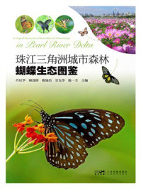《珠江三角洲城市森林蝴蝶生态图鉴》-肖以华