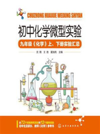 《初中化学微型实验》-沈戮