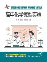 《高中化学微型实验》-沈戮