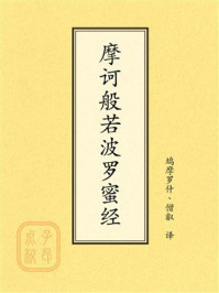 《点校本：摩诃般若波罗蜜经》-鸠摩罗什