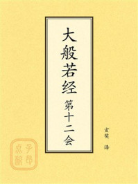 《点校本：大般若经第十二会》-玄奘