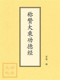 《点校本：称赞大乘功德经》-玄奘