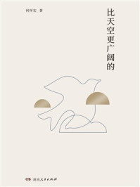 《比天空更广阔的》-何怀宏