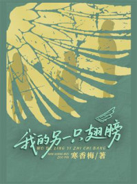 《我的另一只翅膀》-寒香梅