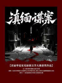 《滇缅谍案》-文星传