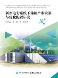 《新型电力系统下储能产业发展与优化配置研究》-刘大正