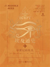 《埃及通史6：中世纪的埃及》-斯坦利·莱恩·普尔