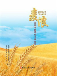 《麦浪：龙游早期革命斗争纪实》-龙游县退役军人事务局