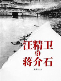 《汪精卫和蒋介石》-王朝柱 《汪精卫和蒋介石》-王朝柱