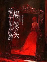 《镜子里面的摄像头》-陈皮话梅糖